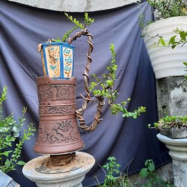 Hải châu lá nhỏ sông cầu gl.