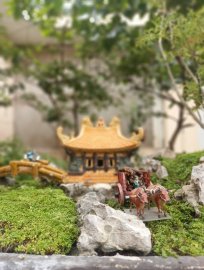 Một thoáng quê tôi giữa trưa Sài Gòn