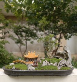 Một thoáng quê tôi giữa trưa Sài Gòn