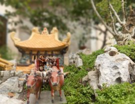 Một thoáng quê tôi giữa trưa Sài Gòn