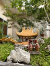 Một thoáng quê tôi giữa trưa Sài Gòn