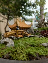 Một thoáng quê tôi giữa trưa Sài Gòn
