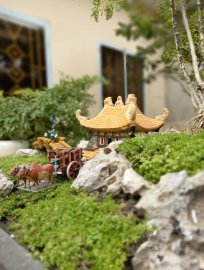 Một thoáng quê tôi giữa trưa Sài Gòn