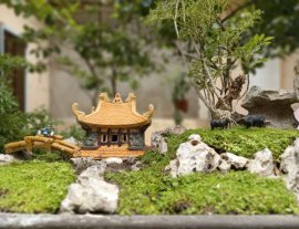 Một thoáng quê tôi giữa trưa Sài Gòn
