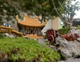 Một thoáng quê tôi giữa trưa Sài Gòn