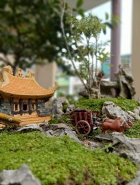 Một thoáng quê tôi giữa trưa Sài Gòn