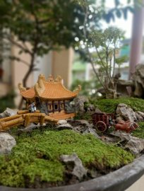 Một thoáng quê tôi giữa trưa Sài Gòn