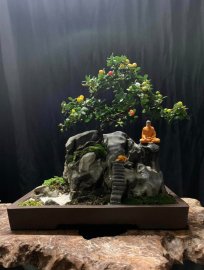 Tác phẩm bái phật!