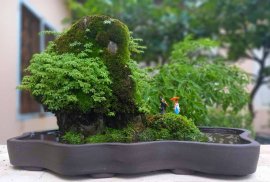 Tác phẩm: Tiếu Ngạo Sơn