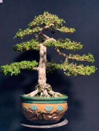 Nhất trụ kình thiên