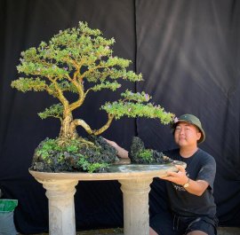 Linh sam sông hinh form thiên nhiên