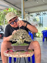 Antidesma acidum tree