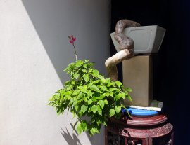 Em Giấy Mỹ zin...