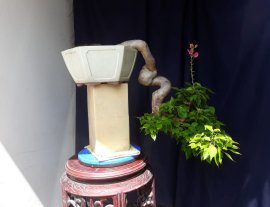 Em Giấy Mỹ zin...