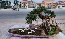 Bonsai mini scene
