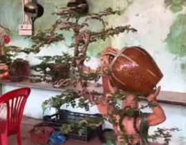 Tác phẩm cần thăng
