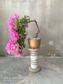 Chào mùa thu