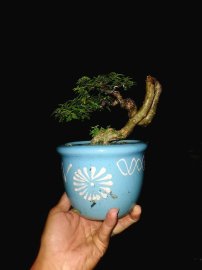 Khách em đang kẹt tiền nên thanh lý mấy cây