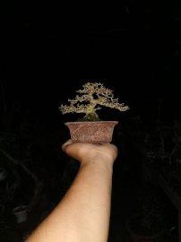 Khách em đang kẹt tiền nên thanh lý mấy cây