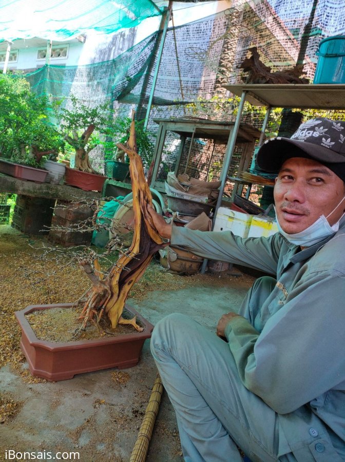 Làm lũa có tâm cực lắm, xong ra tác phẩm đẹp thấy vui sướng vô cùng!