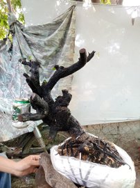 Giao lưu cốt cẩm thị nghệ thuật slh 0932037789