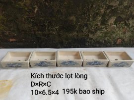 Chậu mini, giá từ 170k bao ship