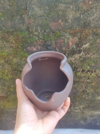 Chậu mini, giá từ 170k bao ship