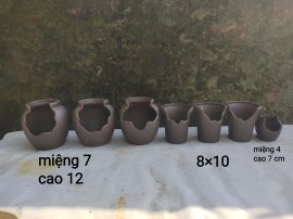 Chậu mini, giá từ 170k bao ship