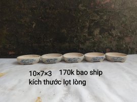 Chậu mini, giá từ 170k bao ship