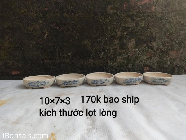 Chậu mini, giá từ 170k bao ship