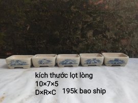 Chậu mini, giá từ 170k bao ship