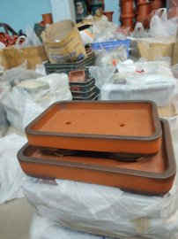 Chậu cho các bác làm tiểu cảnh 
