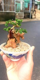Sam hương mini ghép đá đỏ Đồng Nai rất duyên