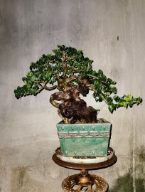 Có Thay đổi lớn sau hơn 1 năm