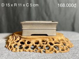 CÁC MẪU CHẬU TÀU HÀNG MỚI VỀ