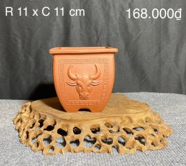 CÁC MẪU CHẬU TÀU HÀNG MỚI VỀ