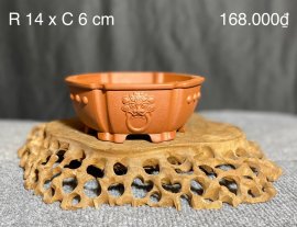 CÁC MẪU CHẬU TÀU HÀNG MỚI VỀ