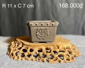CÁC MẪU CHẬU TÀU HÀNG MỚI VỀ