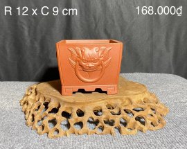 CÁC MẪU CHẬU TÀU HÀNG MỚI VỀ