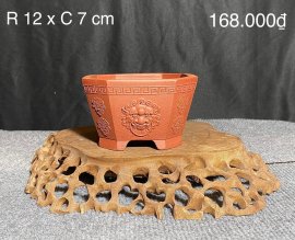 CÁC MẪU CHẬU TÀU HÀNG MỚI VỀ