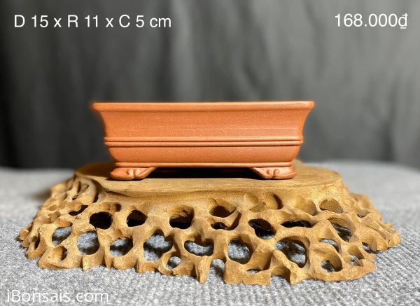 CÁC MẪU CHẬU TÀU HÀNG MỚI VỀ