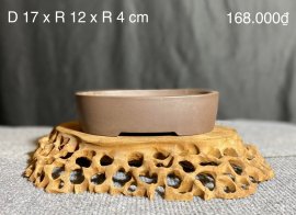 CÁC MẪU CHẬU TÀU HÀNG MỚI VỀ