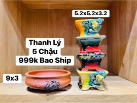 ⛔️⛔️ Góc Thanh Lý ⛔️⛔️