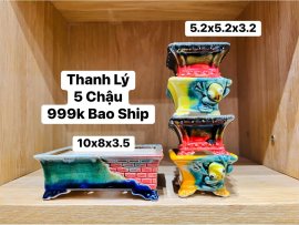 ⛔️⛔️ Góc Thanh Lý ⛔️⛔️