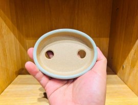 GL Ae Chậu Maru Fuji Màu Xanh Ngọc