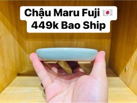 GL Ae Chậu Maru Fuji Màu Xanh Ngọc