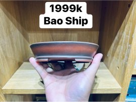 GL ae chậu Bigei