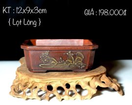 CÁC MẪU CHẬU ĐANG CÓ GIÁ ƯU ĐÃI 