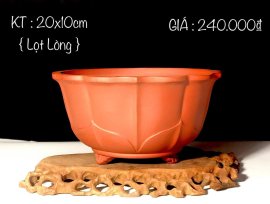 CÁC MẪU CHẬU ĐANG CÓ GIÁ ƯU ĐÃI 