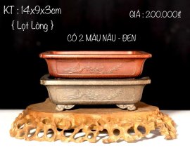CÁC MẪU CHẬU ĐANG CÓ GIÁ ƯU ĐÃI 